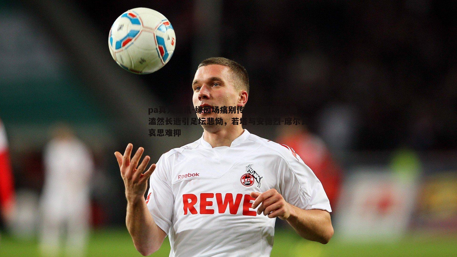 绿茵场痛别传奇,阿什利-扬溘然长逝引足坛悲恸,若塔与安德烈-席尔瓦哀思难抑