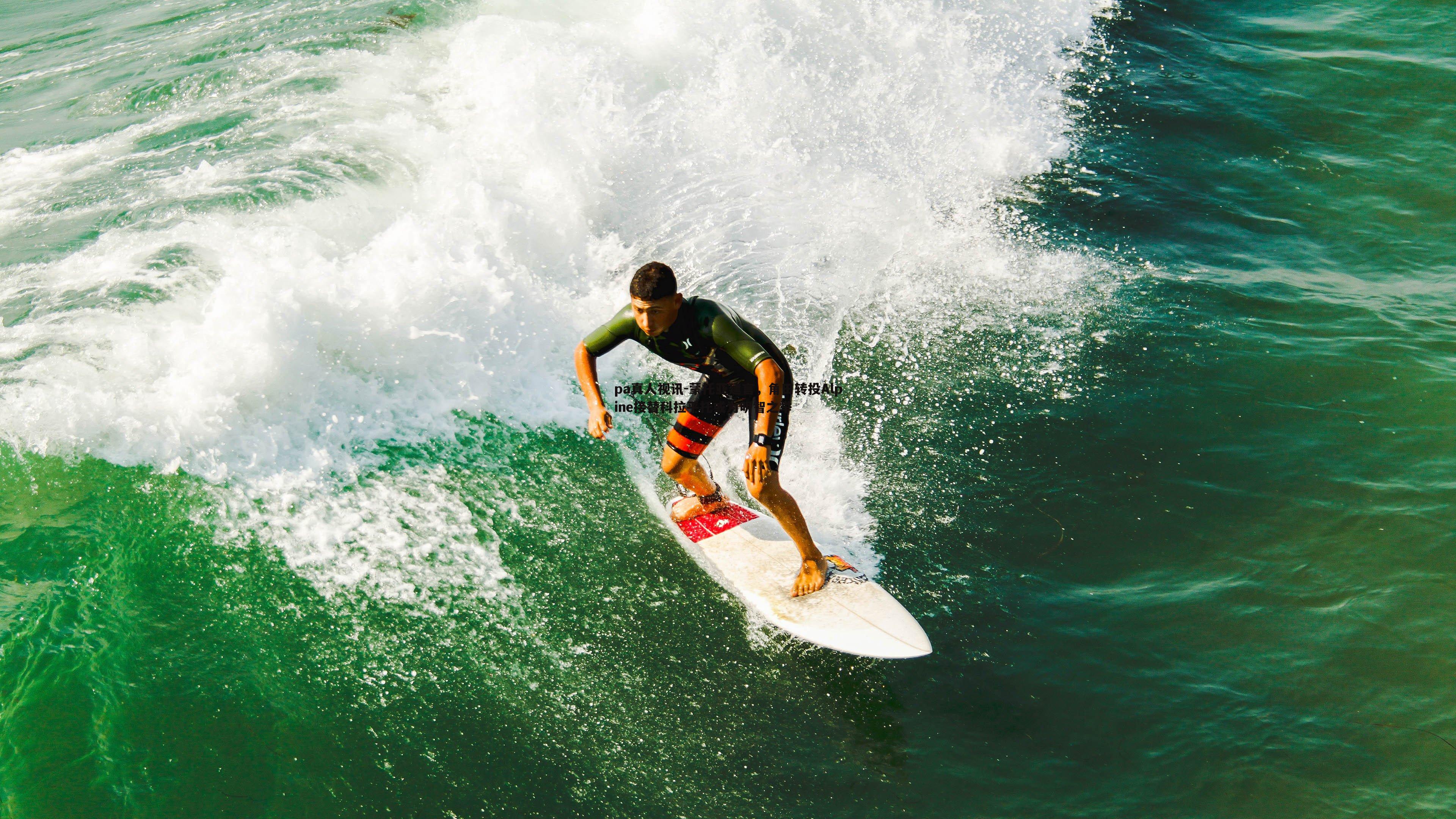 蒙托亚建言,角田转投Alpine接替科拉平托或为明智之举